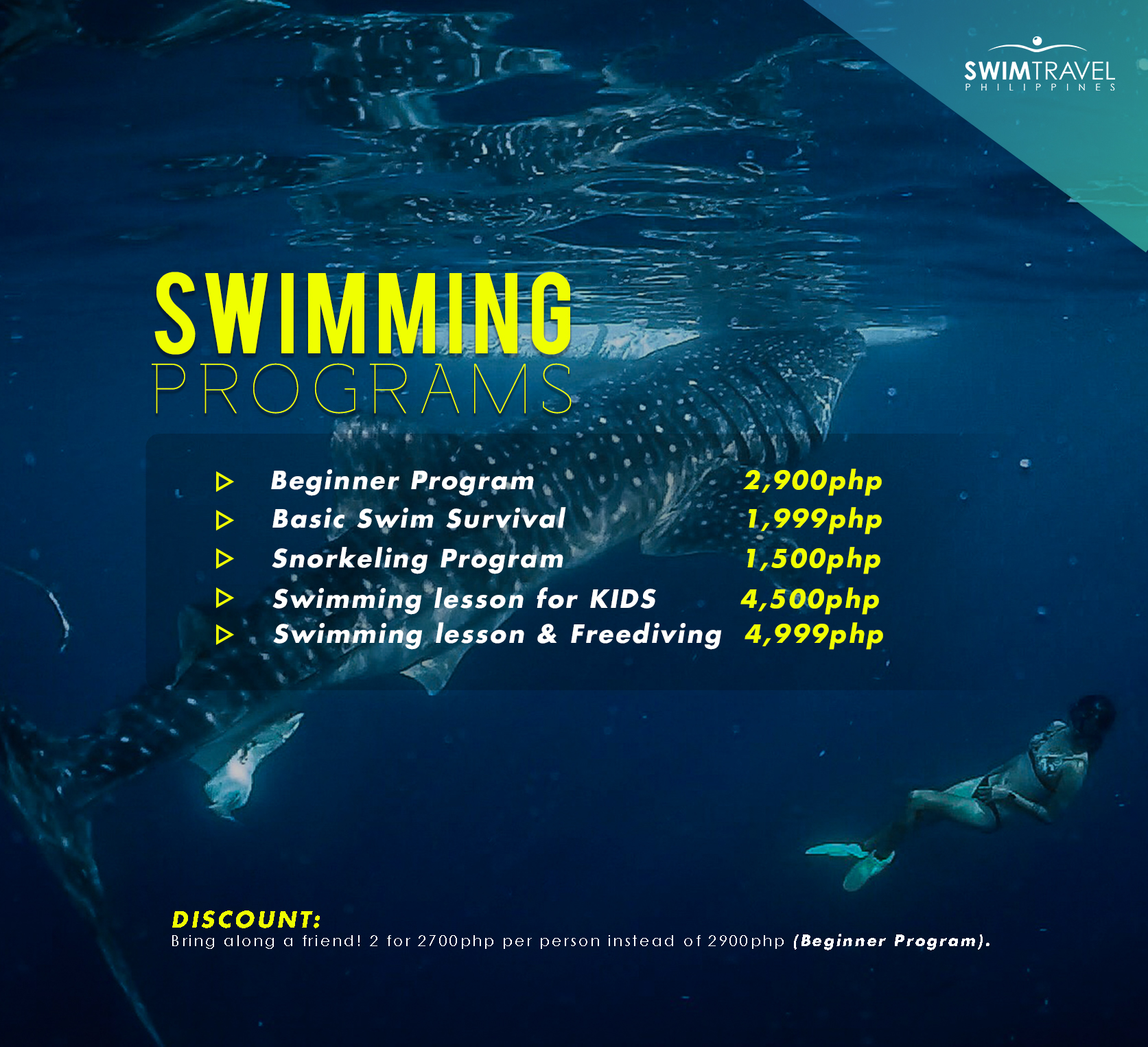 swim programs 2 Swimming lessons for adults ALL YEAR ROUND